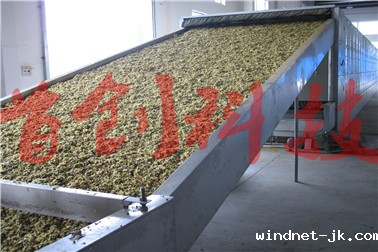 菊花烘干机.jpg