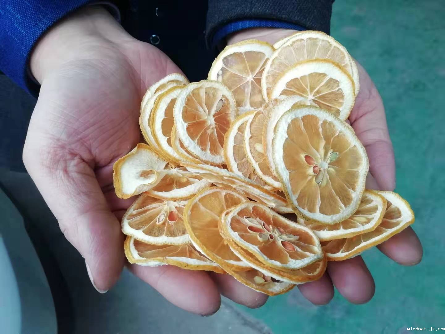 微信图片_20190306145659.jpg