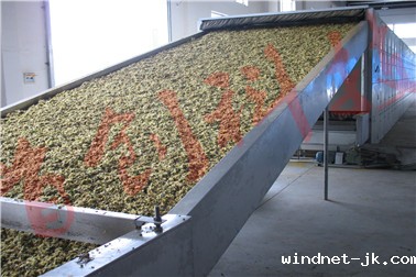 菊花烘干机.jpg