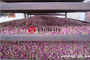 2e1496f9d7919cc2a9438dd6ab57846.jpg