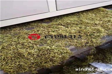 金银花出料.jpg