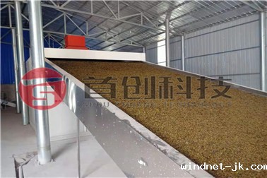 连翘_副本1_副本.jpg