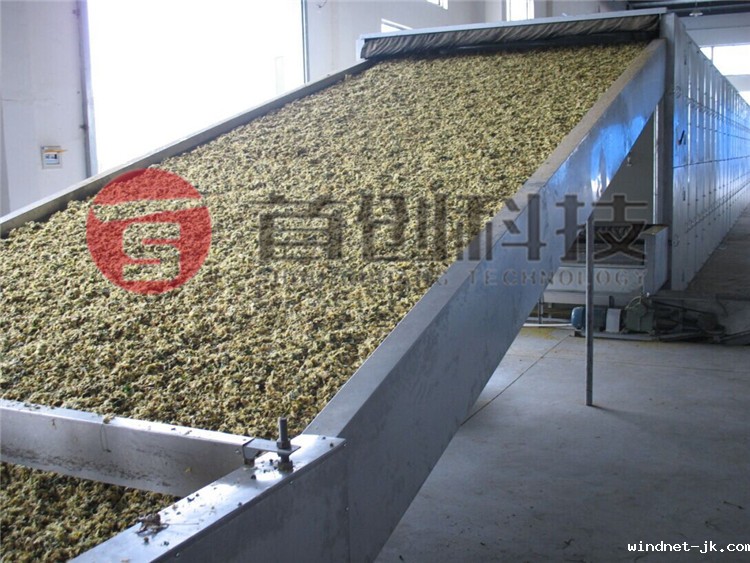 网带式菊花烘干机.jpg