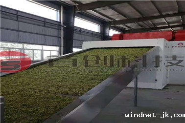 金银花 (2)_副本.jpg