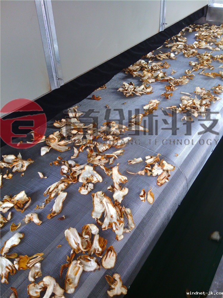 网带式佛手片烘干机出料口.jpg