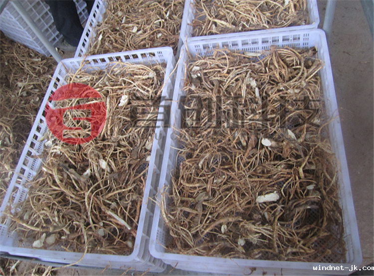 食用菌烘干机价格.png