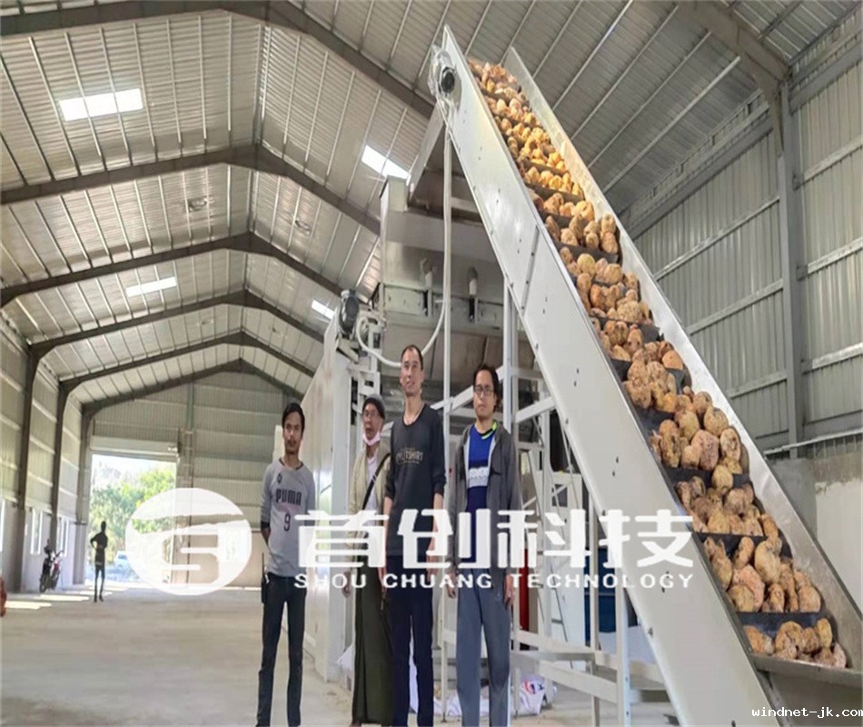 网带式魔芋加工设备.jpg
