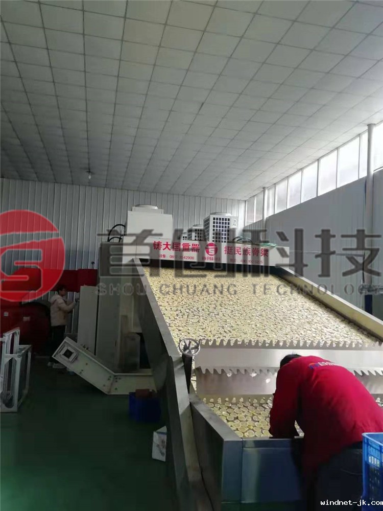 网带式柠檬片干燥设备.jpg