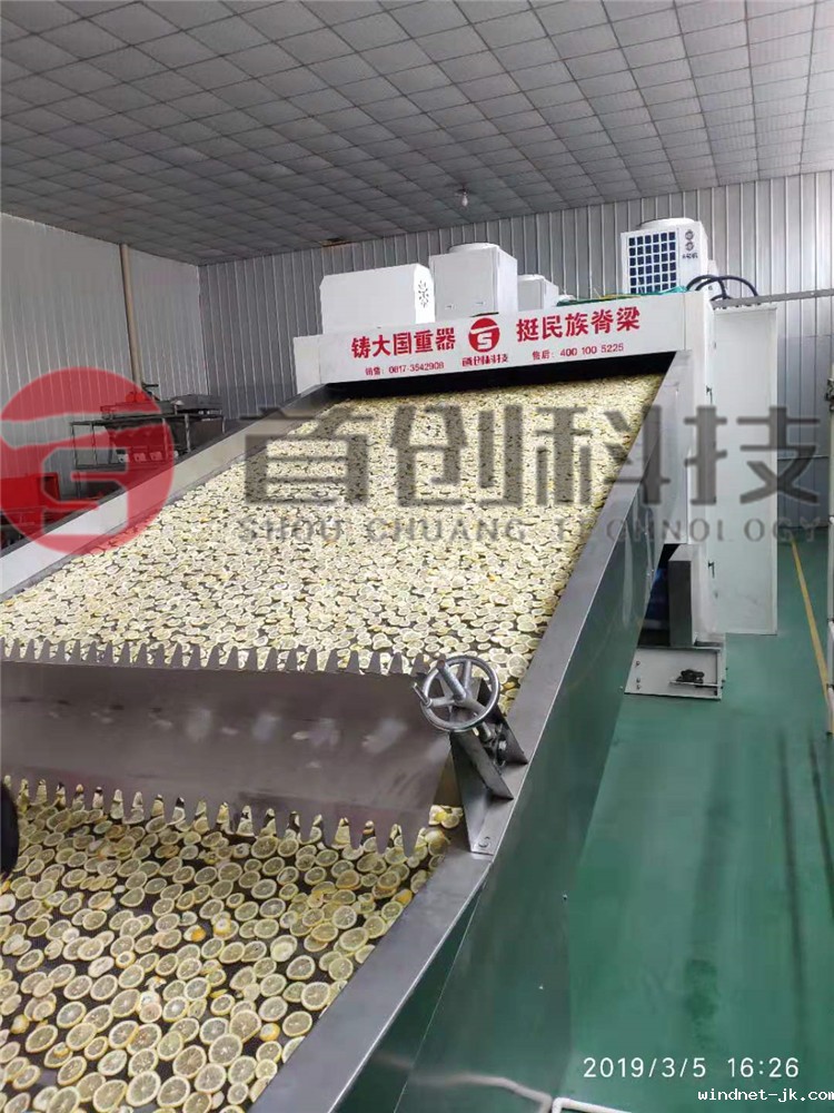 网带柠檬片加工设备.jpg