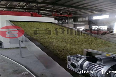 金银花.jpg