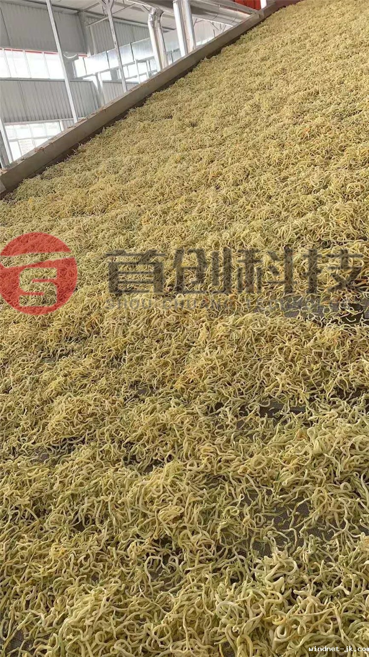 大型木瓜丝网带式烘干机.jpg