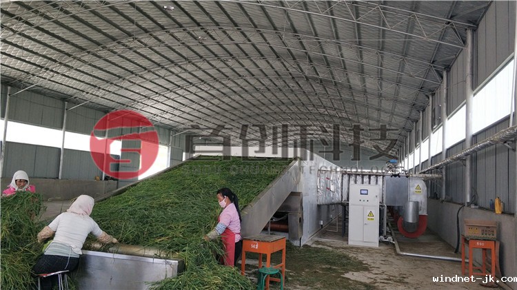 网带式牧草烘干设备.jpg