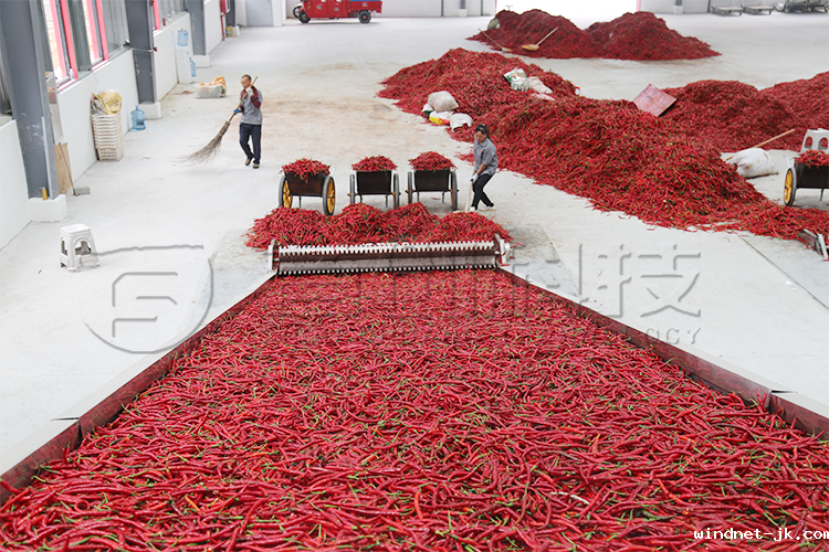 多层带式鲜辣椒烘干设备.png