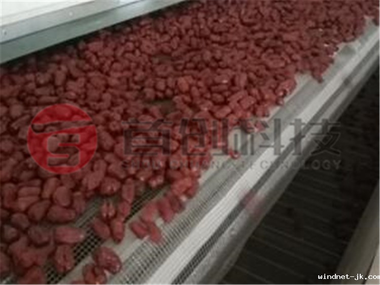 网带式红枣干燥机.jpg