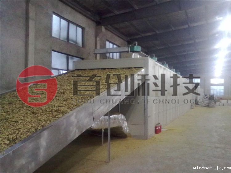 网带式菊花干燥机.jpg