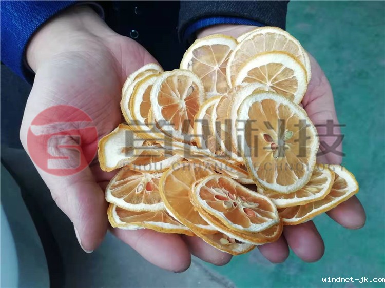 柠檬片烘干设备.jpg