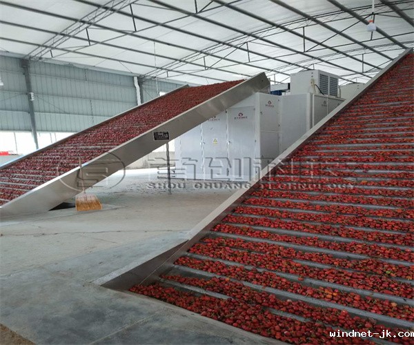 工业辣椒烘干生产线.jpg