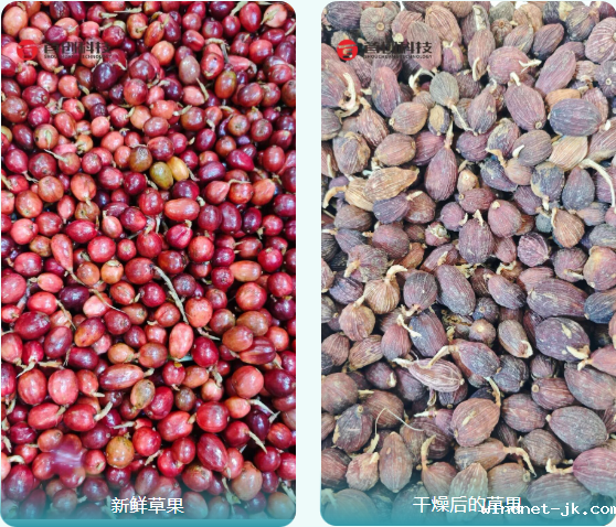 1763435022676952.png 0b9adaa1-cecb-46ae-9649-cc28c8267f35.png